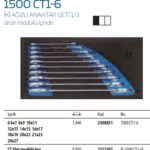 1500 CT1-6 İki Ağız Anahtar 1-3 (2)