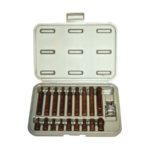19PC KAPLAMALI DELİKLİ TORX BİTS SET