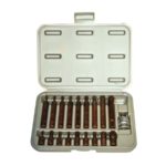 19PC KAPLAMALI TORX BİTS SET