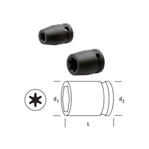 DİŞİ TORKS LOKMA 12