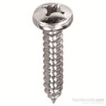 INOX YSB SAÇ VİDALARI DIN 7981 A2