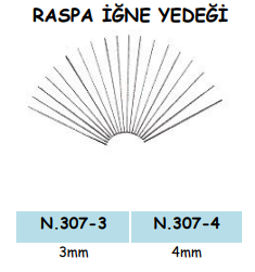 RASPA İĞNE YEDEĞİ