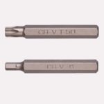 Torks ve Allen Uçlu Bitsler