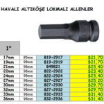 1'' HAVALI ALTIKÖŞE LOKMALI ALLENLER