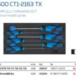 1500 CT1-2163 TX Torx Uçlu Tornavida Seti (1)