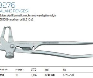 8276 Balans Pensesi (2)