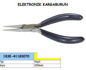 ELEKTRONİK KARGABURUN