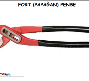 FORT (PAPAĞAN) PENSE (2)