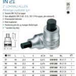 IN 21 1inç Lokmalı Allen Altıköşe Civatalar için (1)