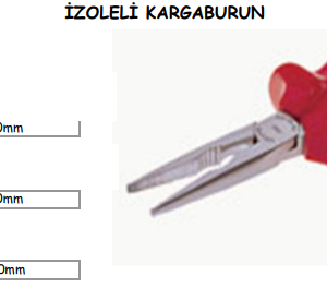İZOLELİ KARGABURUN (1)