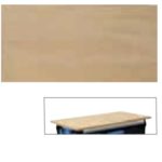 1110 WMHP 3 Ahşap Çalışma Tezgahı WorkMo W3 için